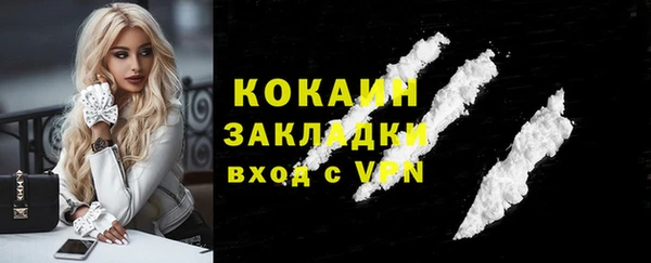 индика Кодинск
