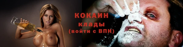 индика Кодинск