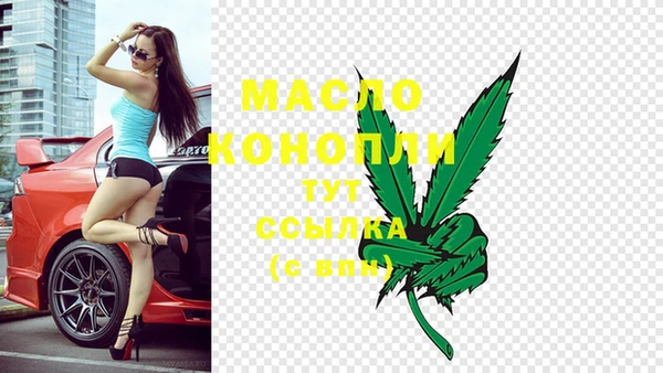 гашик Коряжма