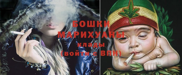 индика Кодинск