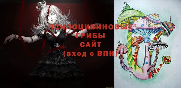 таблы Козловка