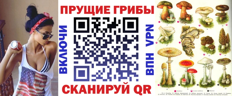 Купить  Лесосибирск  Галлюциногенные грибы Psilocybe 